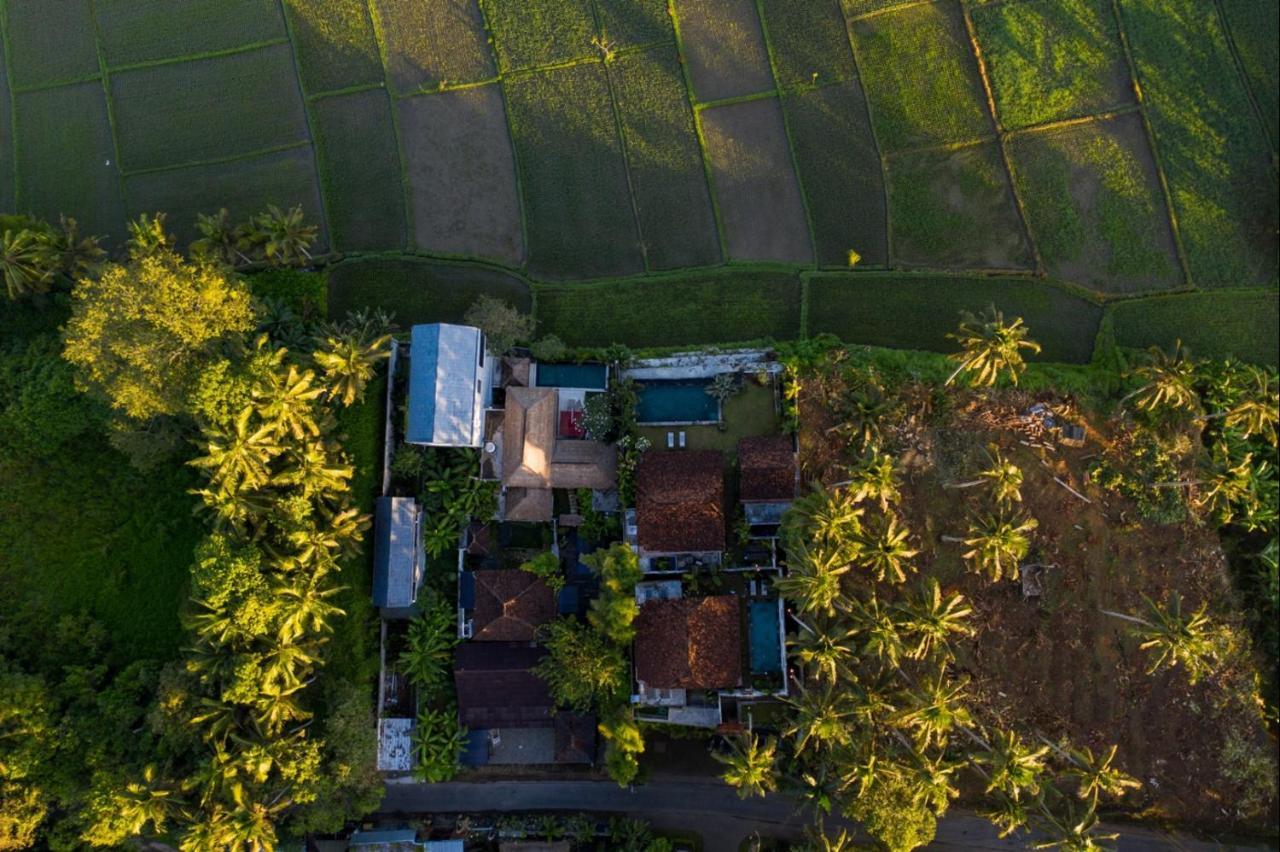 Villa O'Hea Ubud Exterior foto